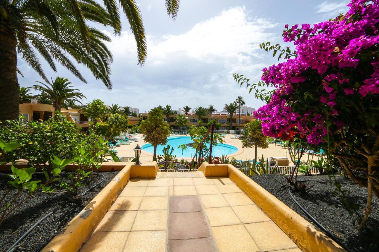 Apartment Apple Dunes With Pool Corralejo By Holidays Home エクステリア 写真